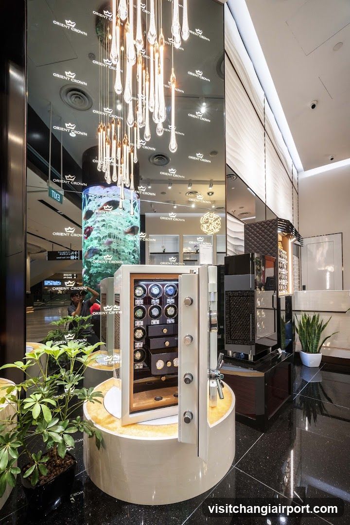 Luxury Watch Display Interior