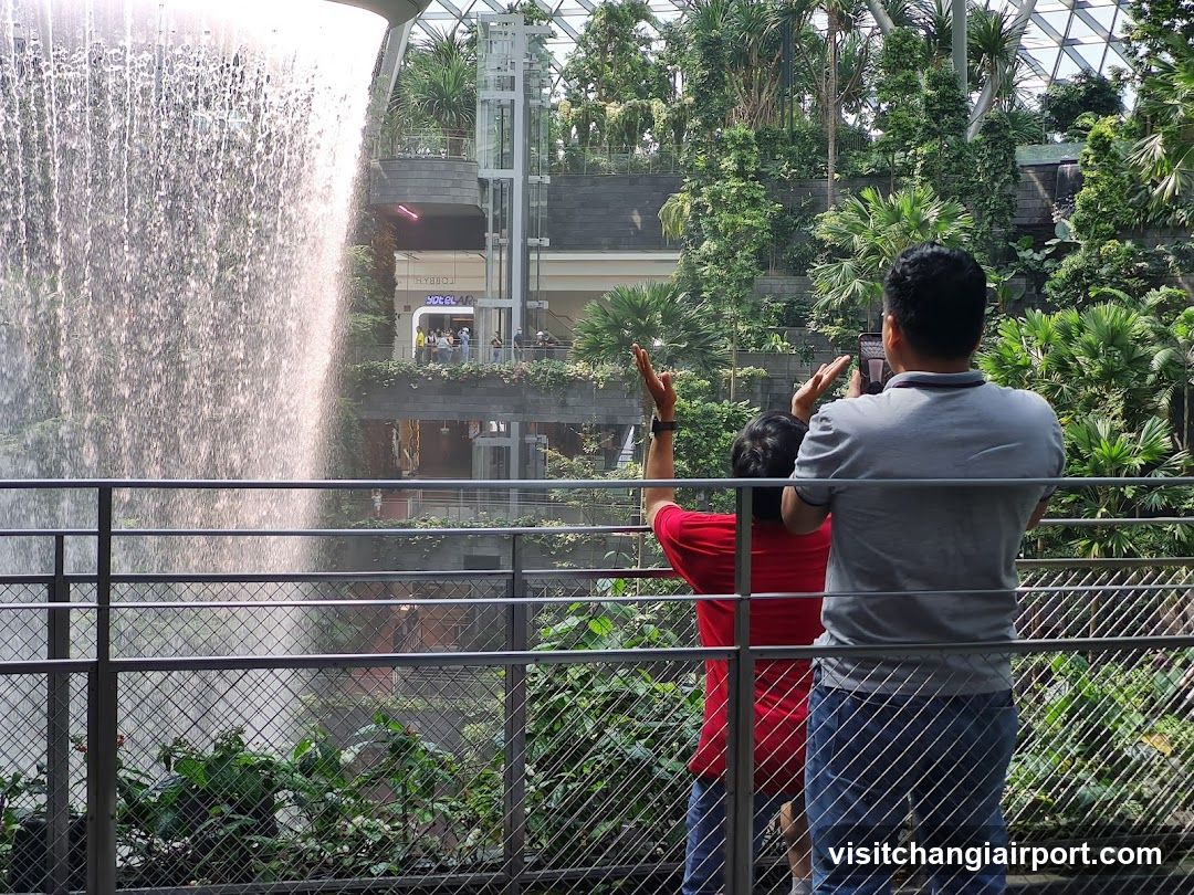 People watching a waterfall in a botanical garden