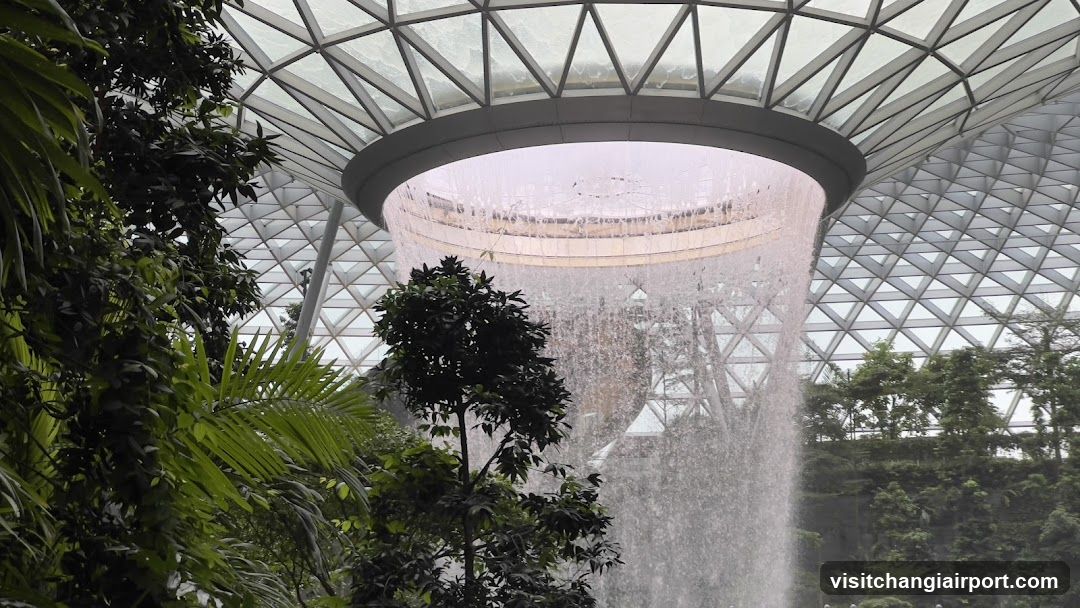 Indoor Waterfall with Lush Greenery