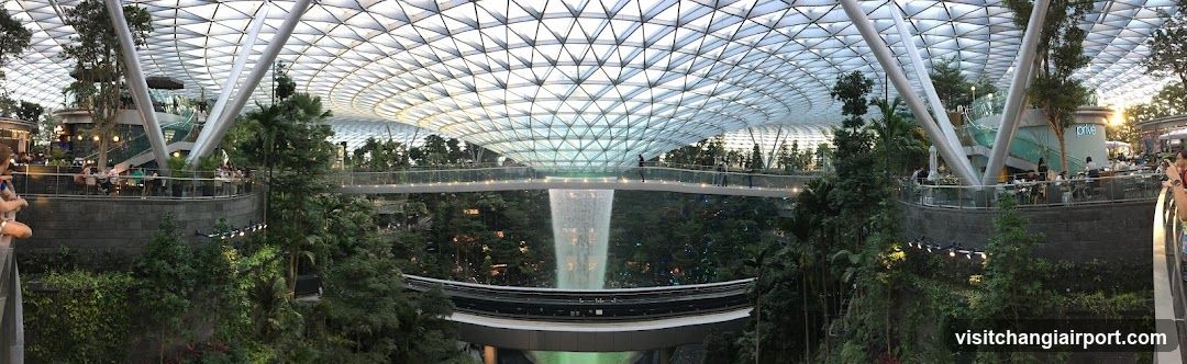 Indoor Waterfall and Greenery