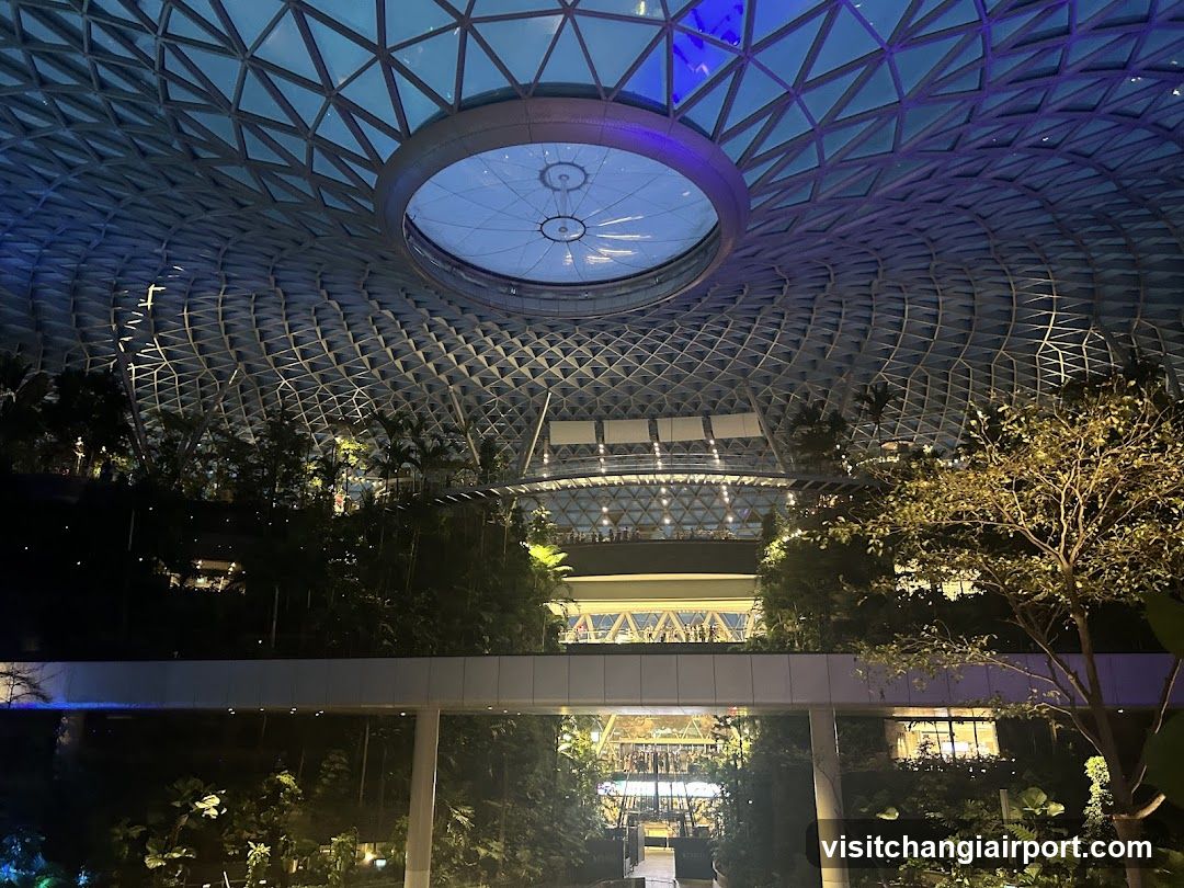 Suzanne's Garden at Jewel Changi Airport