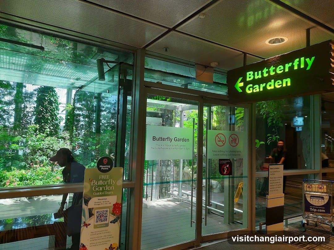 Butterfly Garden