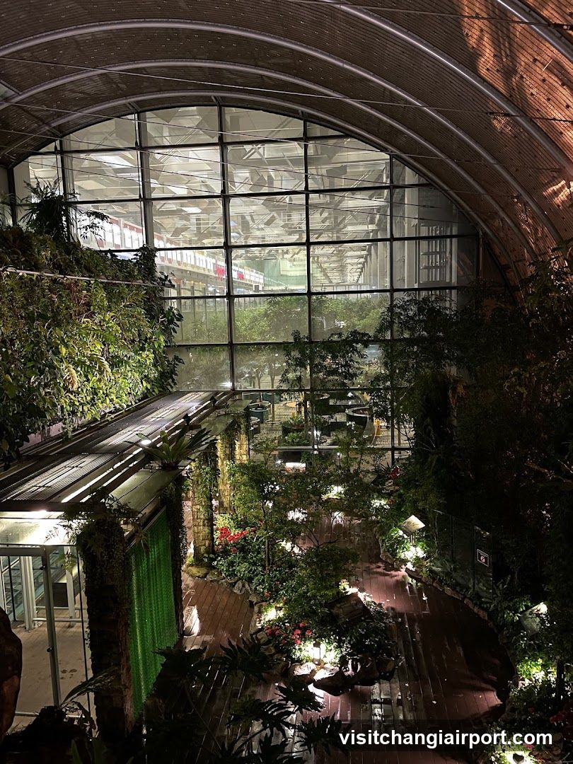 Indoor Garden Interior