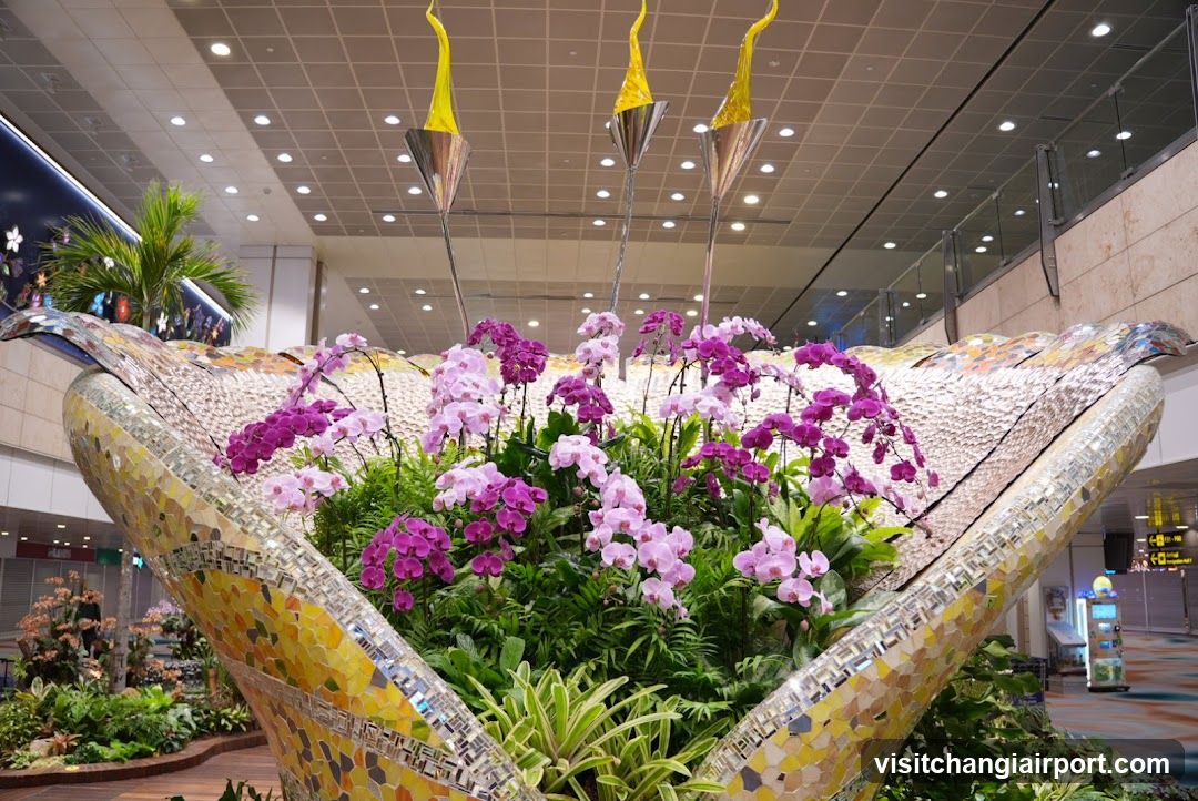 Orchid Display in Mosaic Planter