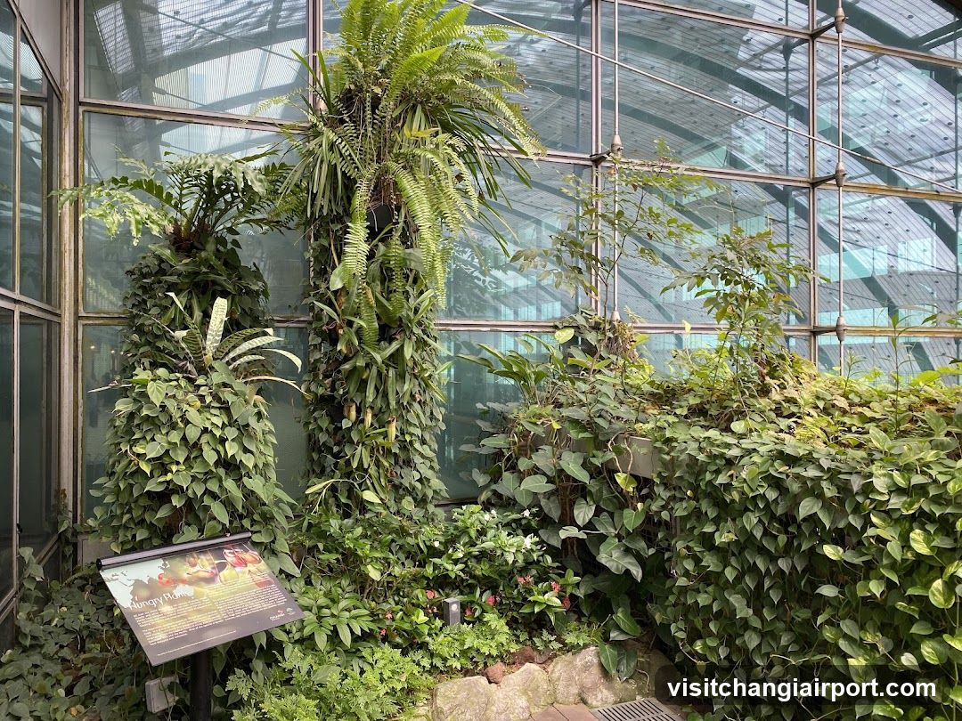 Greenhouse Interior with Tropical Plants