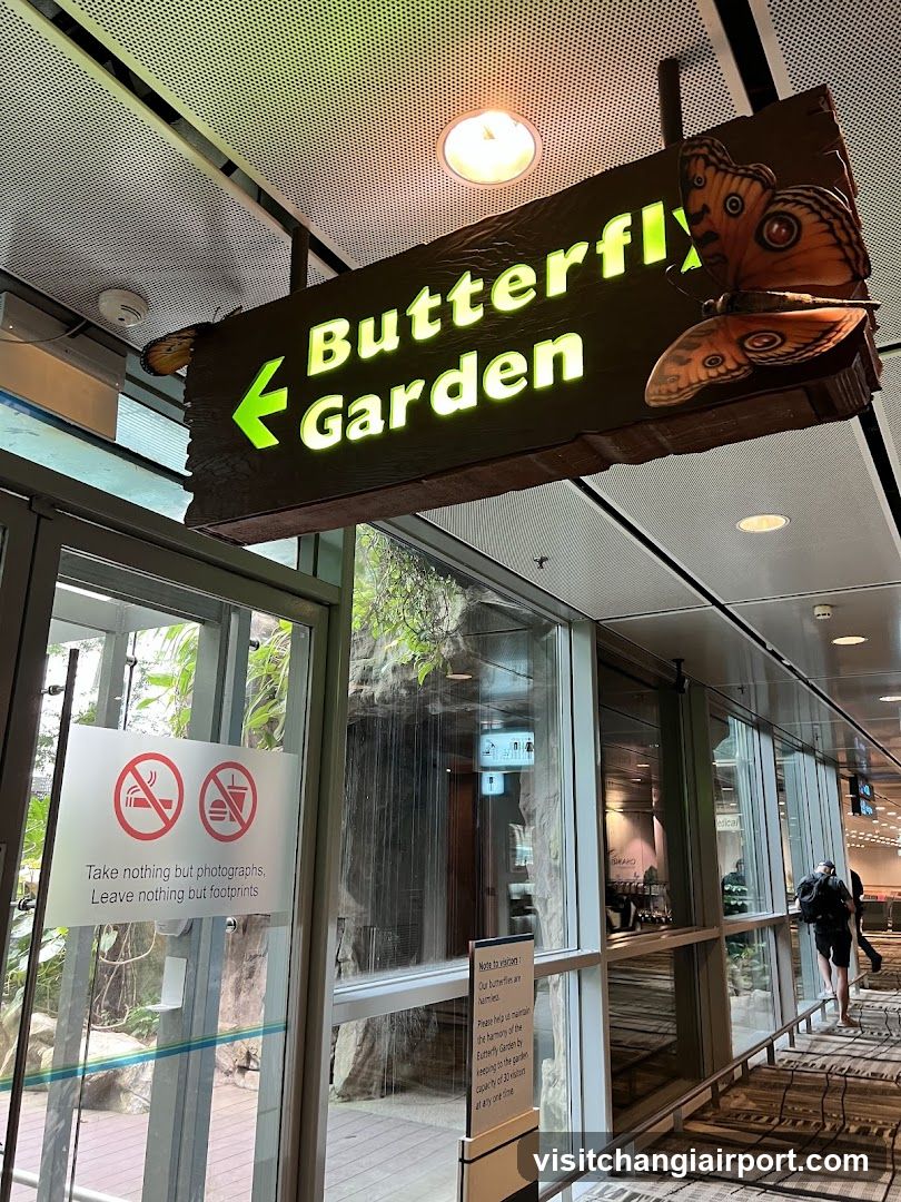 Butterfly Garden