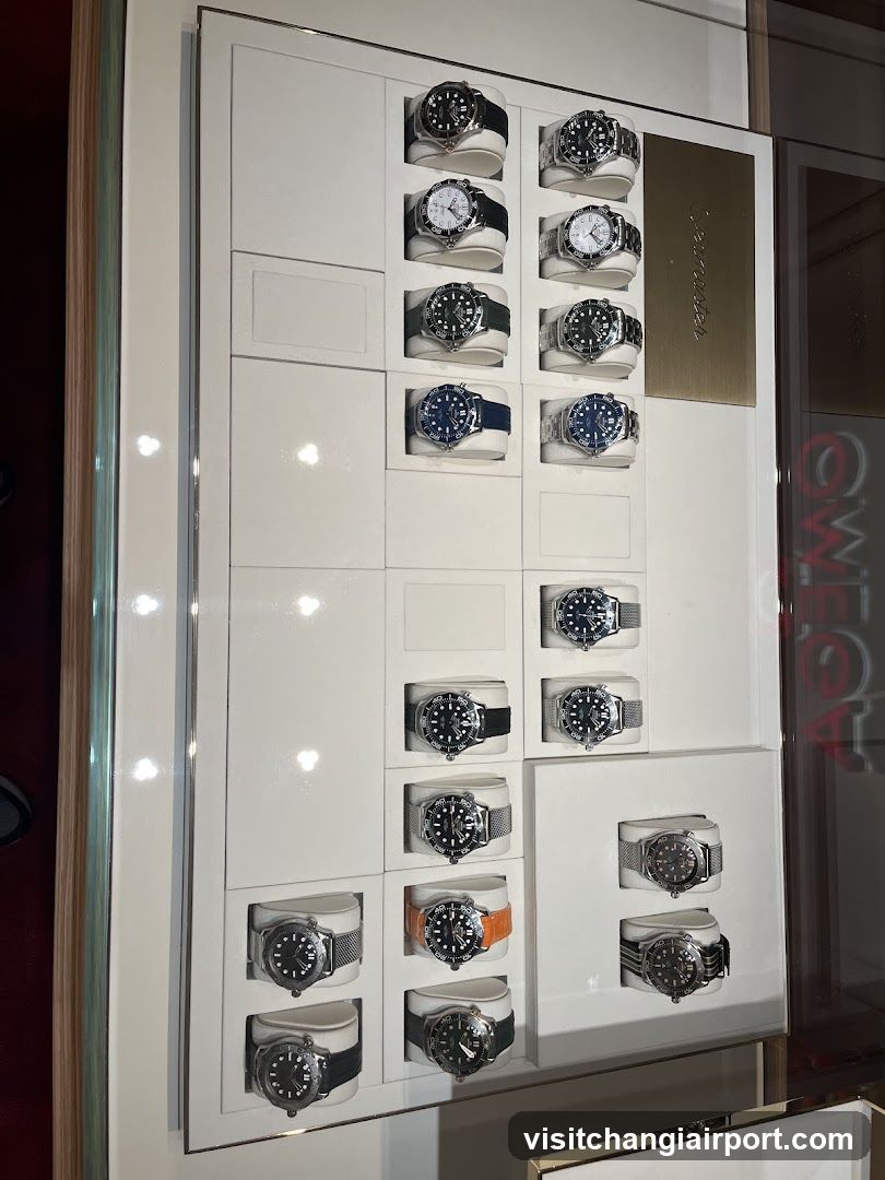 Watch Display Case