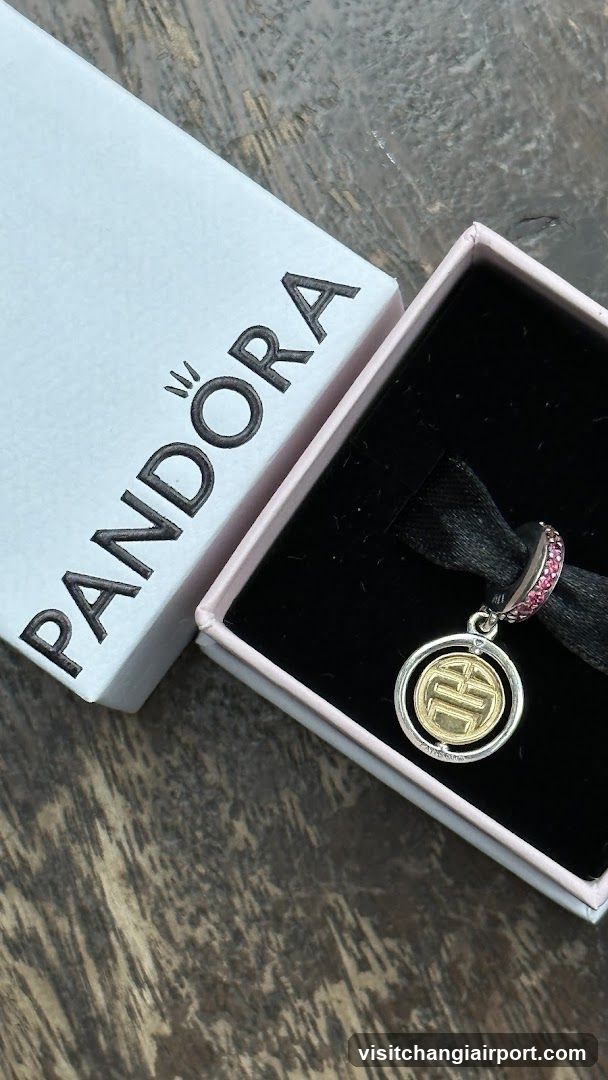 Pandora Charm Box