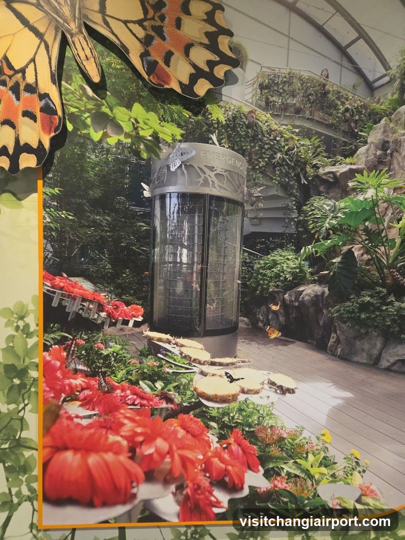 Butterfly Garden Interior