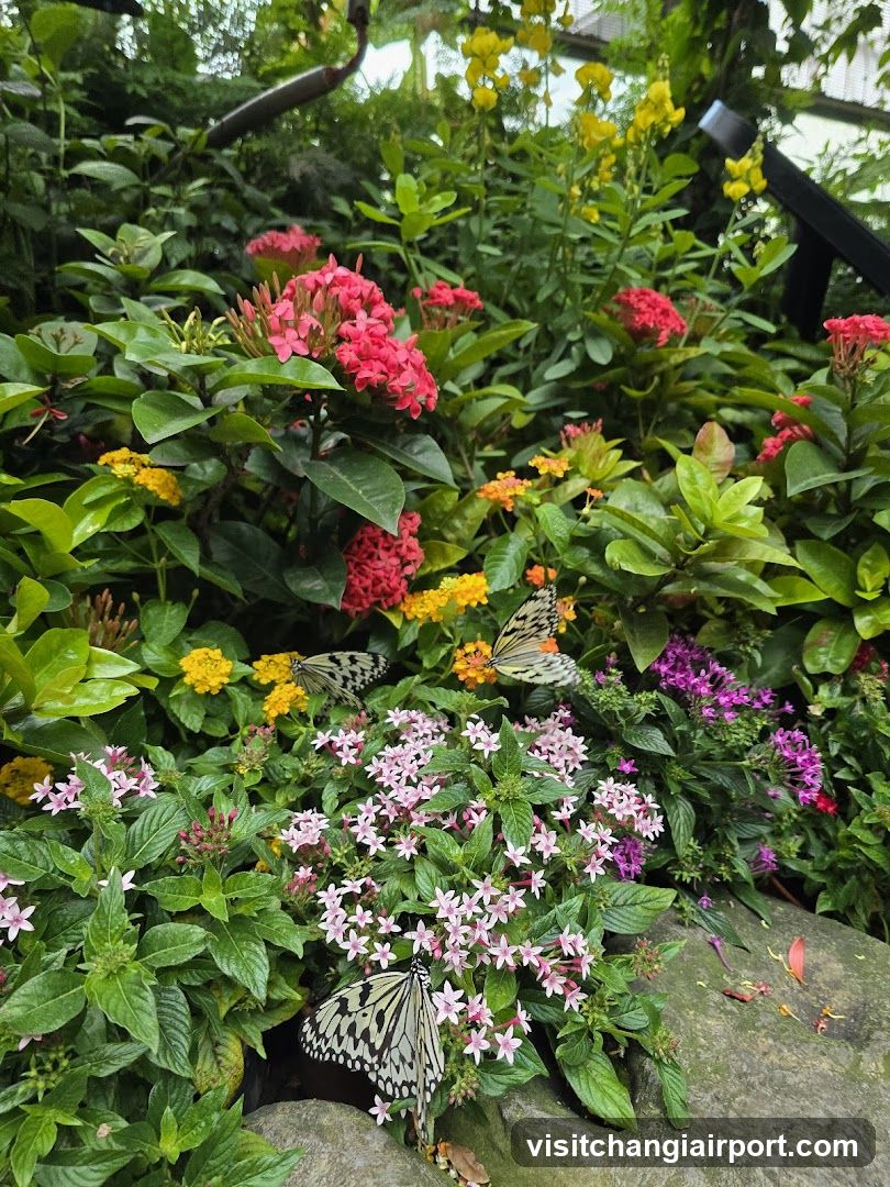 Butterflies in a Flower Garden
