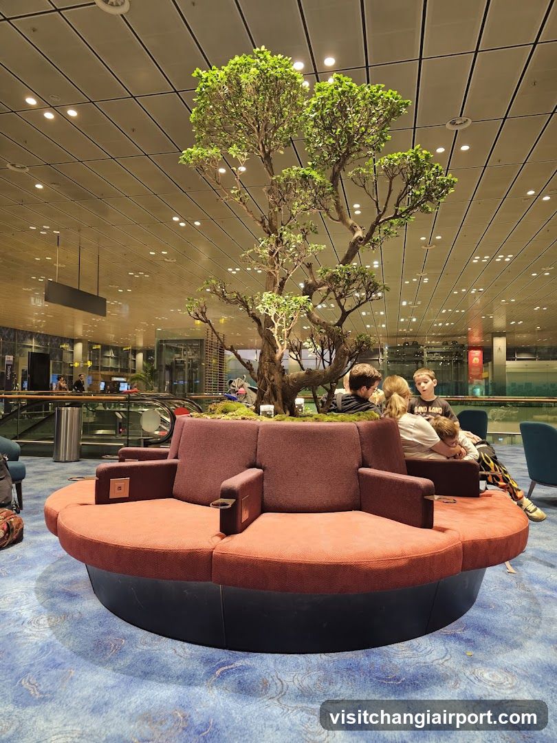 Bonsai Tree Lounge