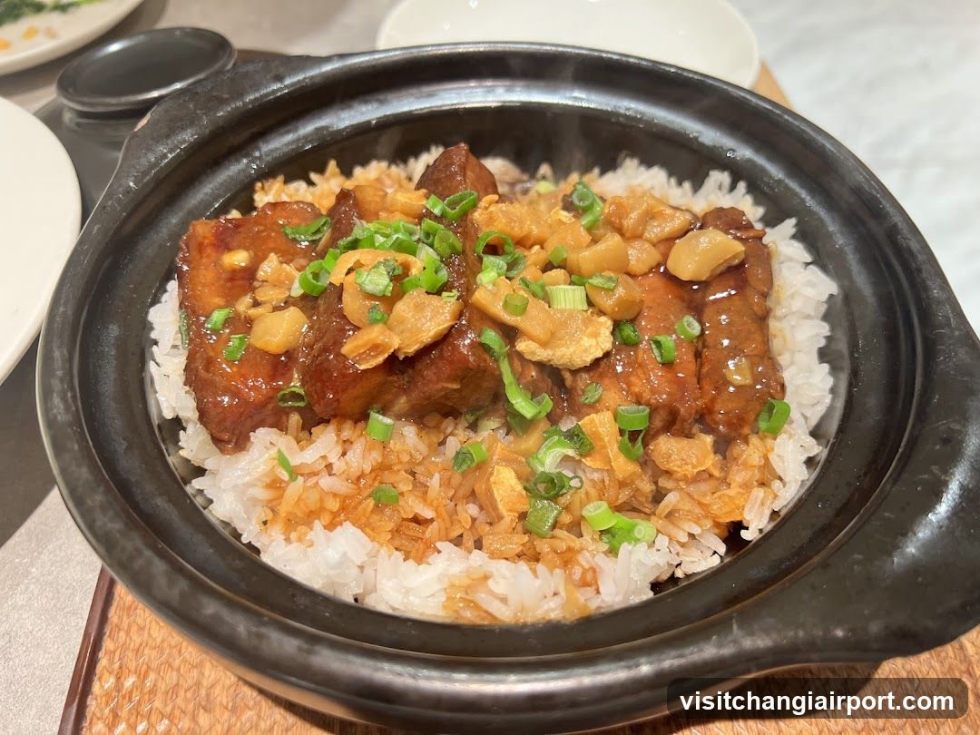 Sizzling Claypot Rice with Meat and Vegetables