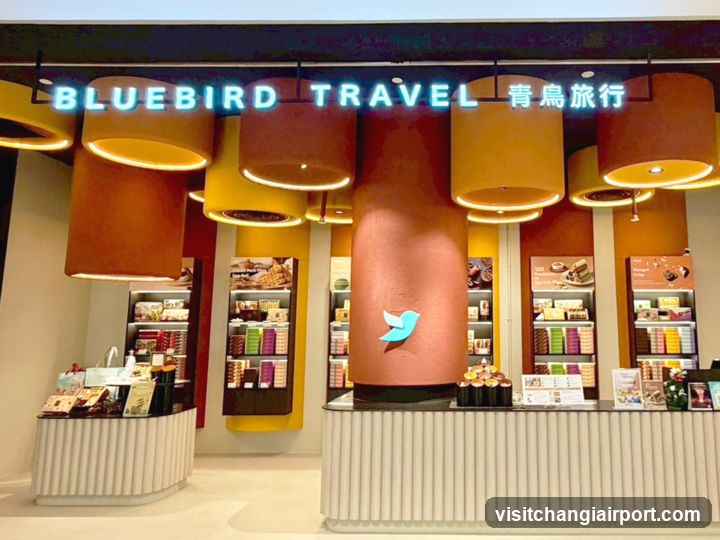 Bluebird Travel Store Interior