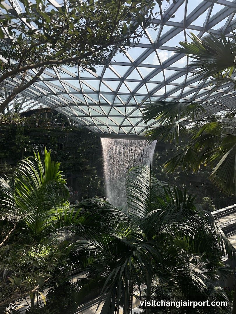 Indoor Waterfall Garden