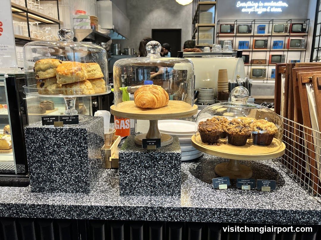 Bakery Display Counter