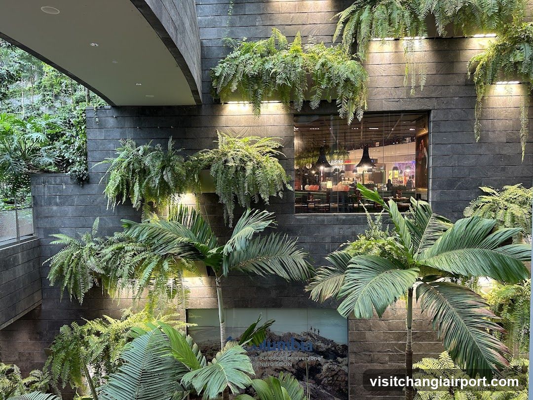 Lush Greenery and Modern Architecture