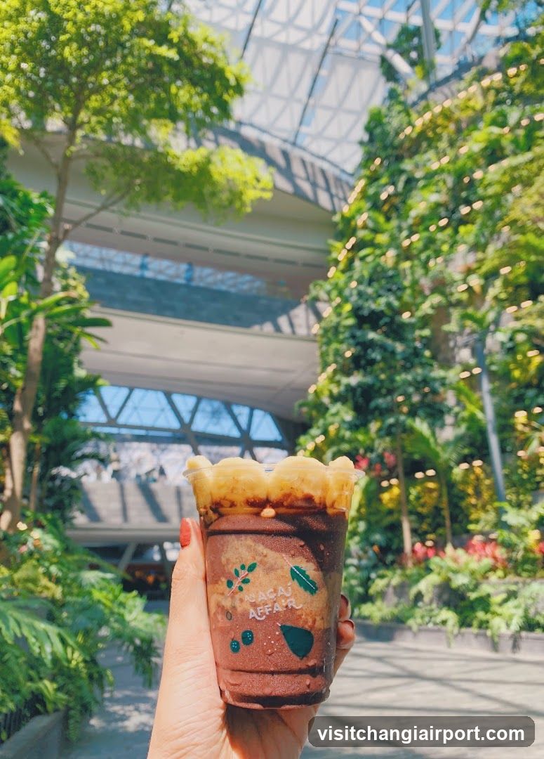 Boba drink in a lush indoor garden