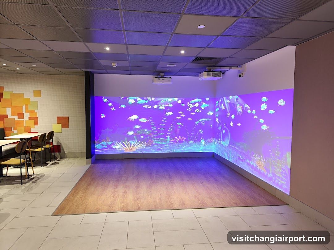Aurora Borealis Projection Room