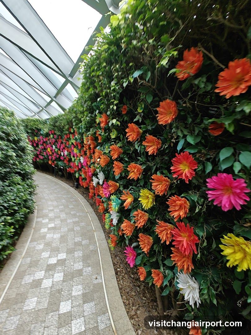 Hedge Maze @ Jewel