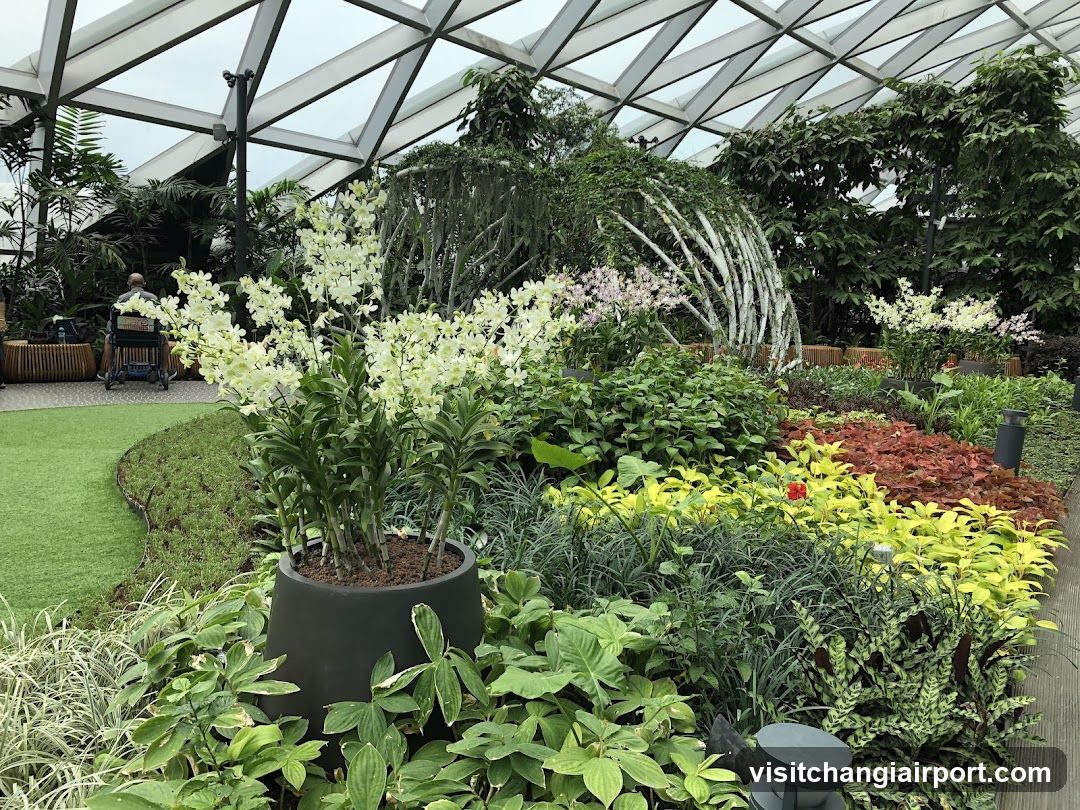 Greenhouse Garden Display