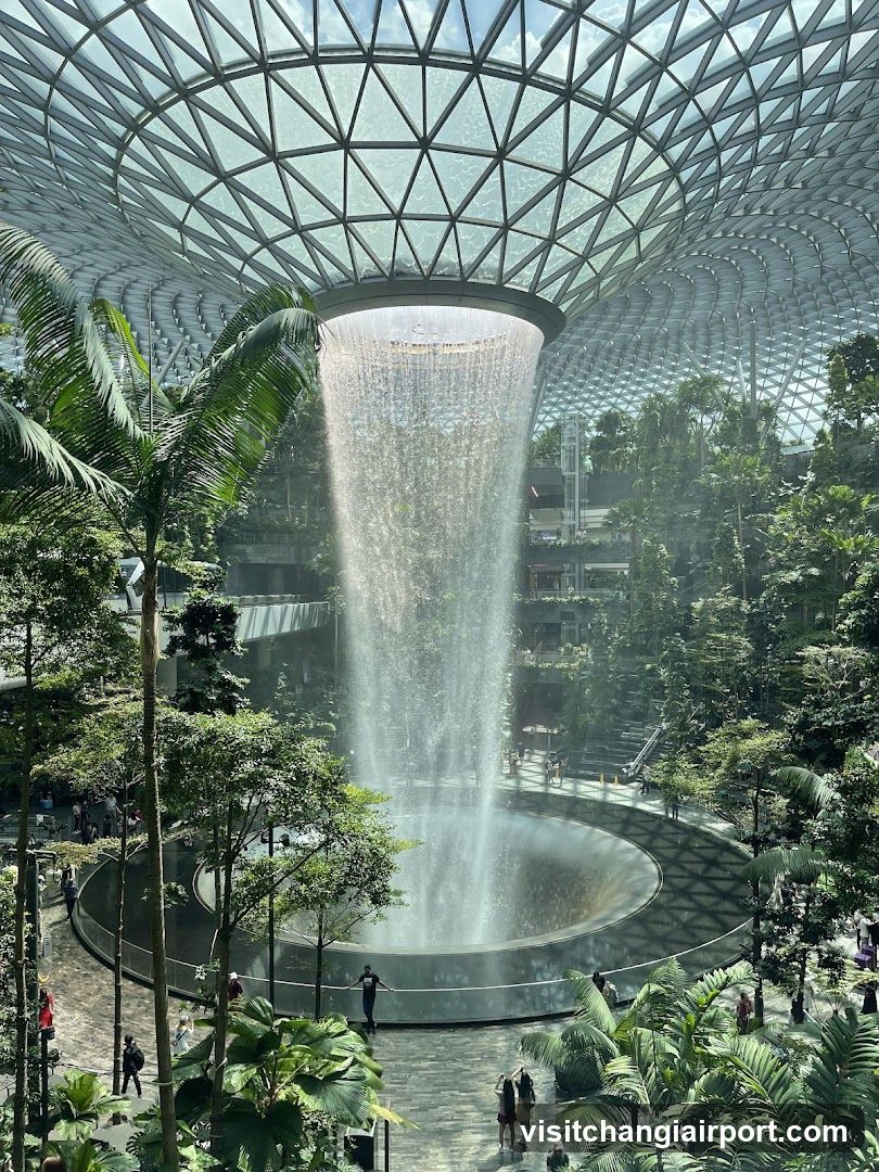 Indoor Waterfall Garden