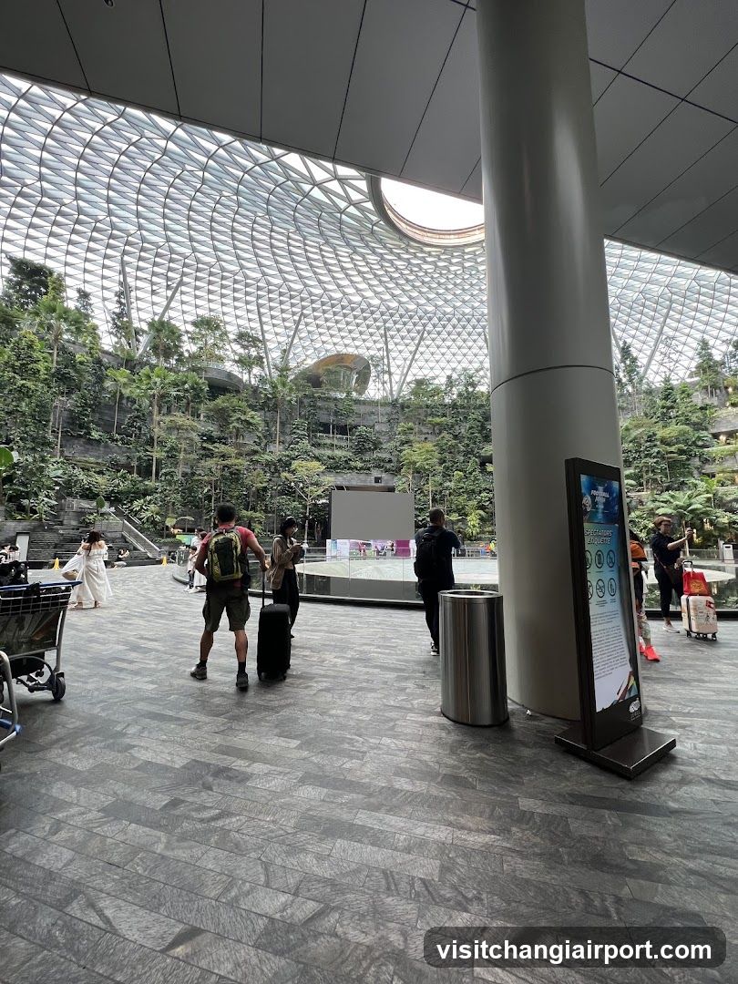 Airport Interior with Greenery