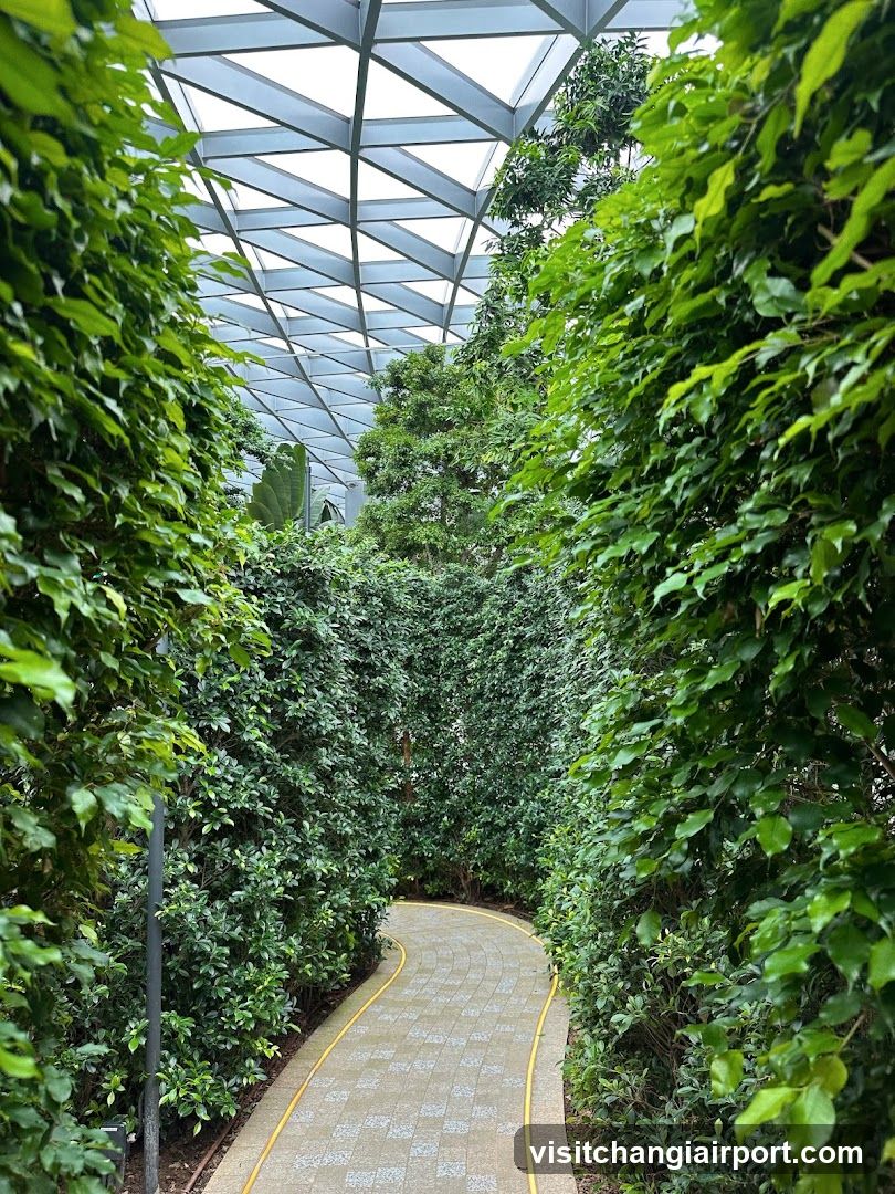 Greenhouse Pathway