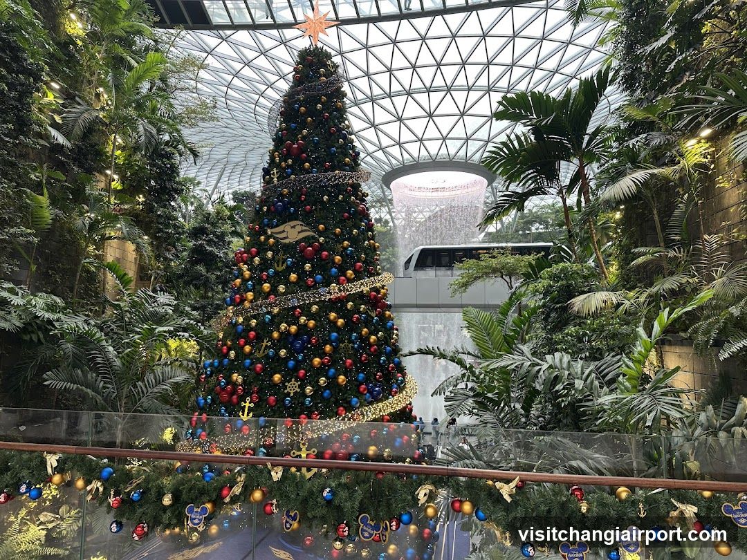 Christmas Tree in Garden
