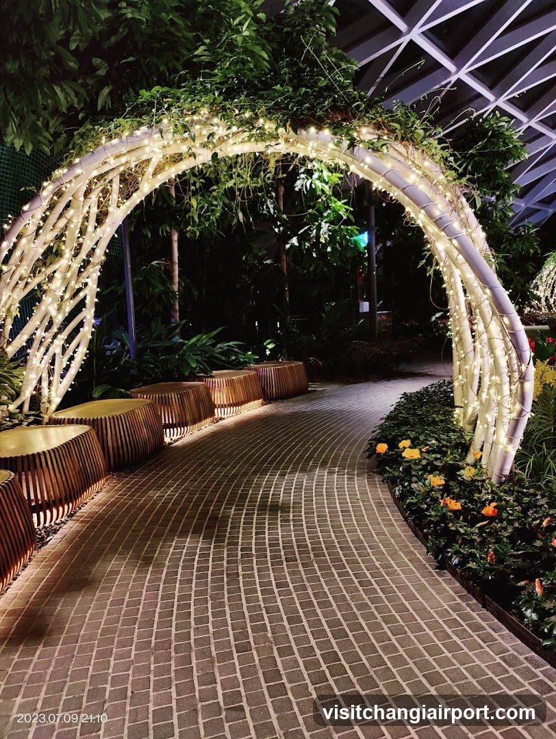 Lighted Garden Archway at Night