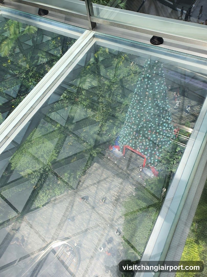 Christmas Tree View from Above