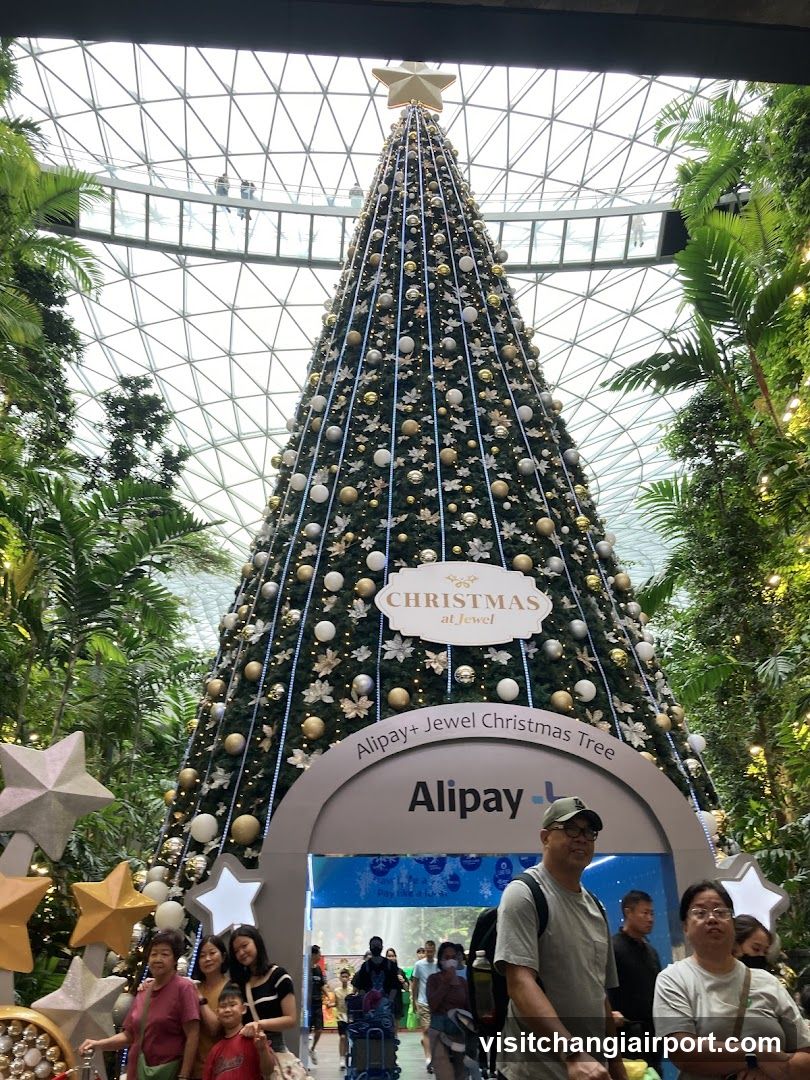 Christmas Tree at Jewel