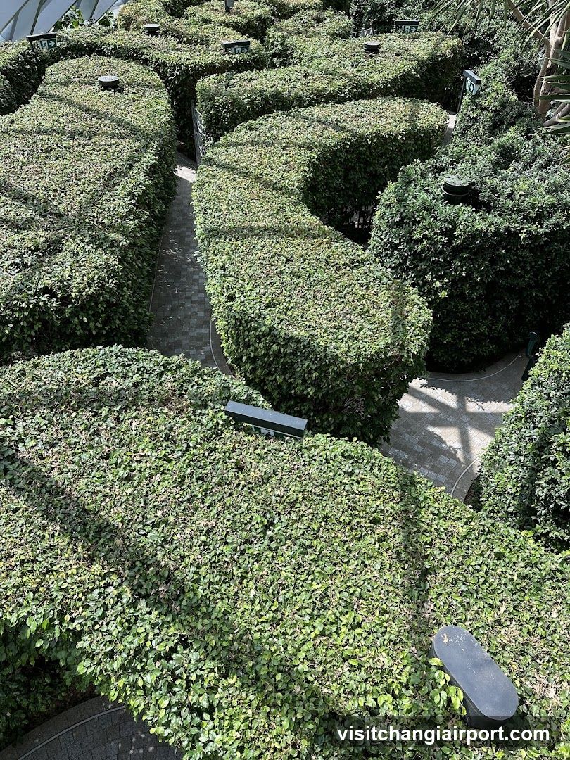 Hedge Maze Garden View