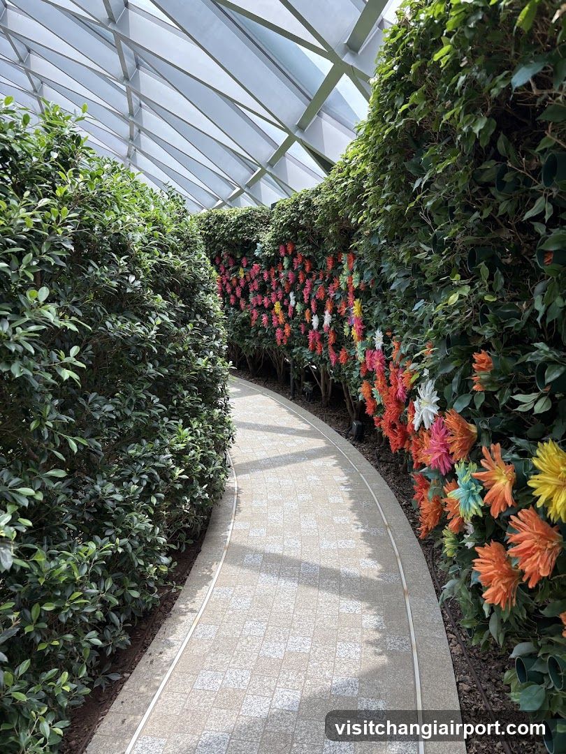 Flower Garden Pathway