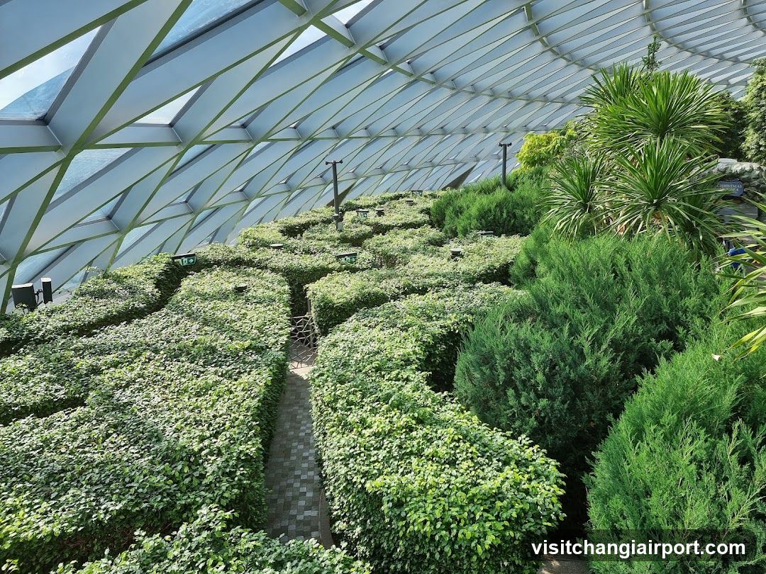 Indoor Garden Maze