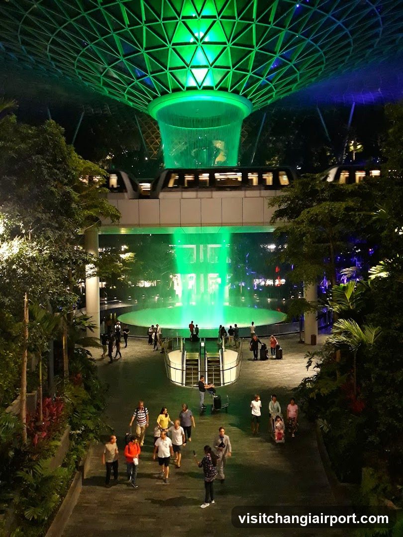 Gardens by the Bay Night View