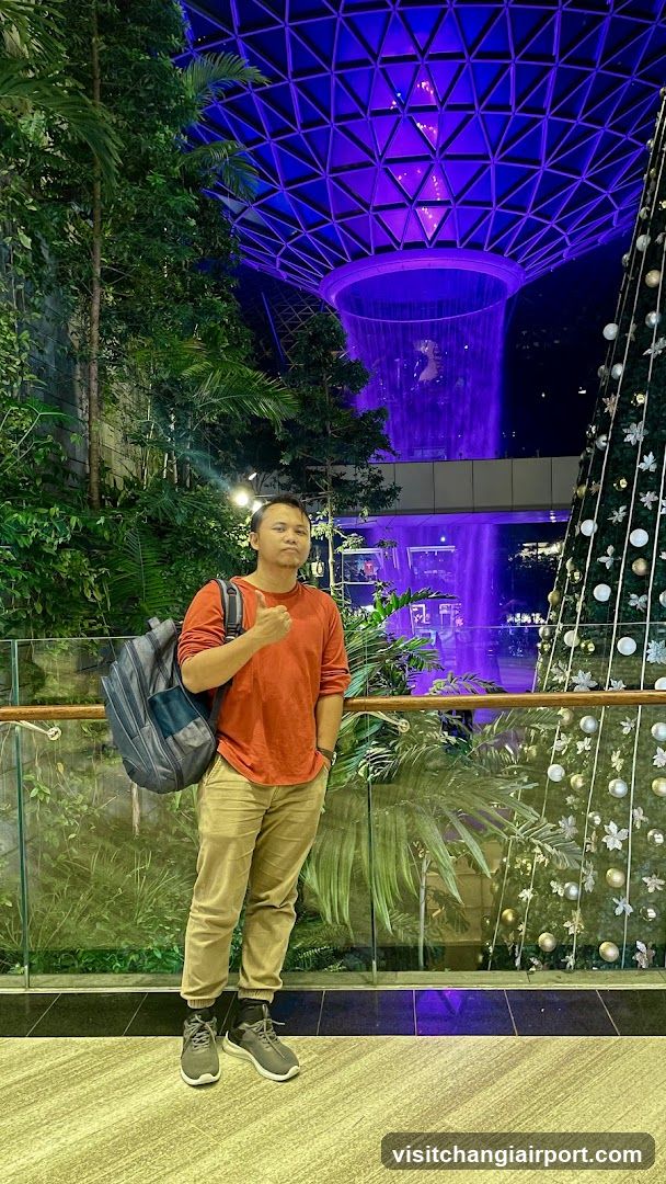Person in indoor garden setting