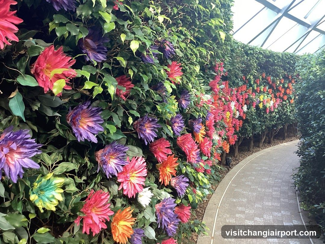 Flower Wall Garden Pathway