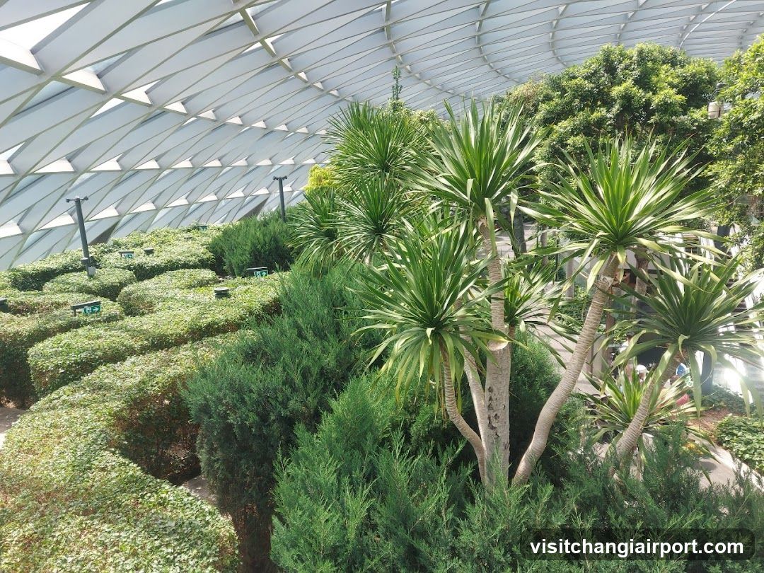 Indoor Garden with Lush Greenery