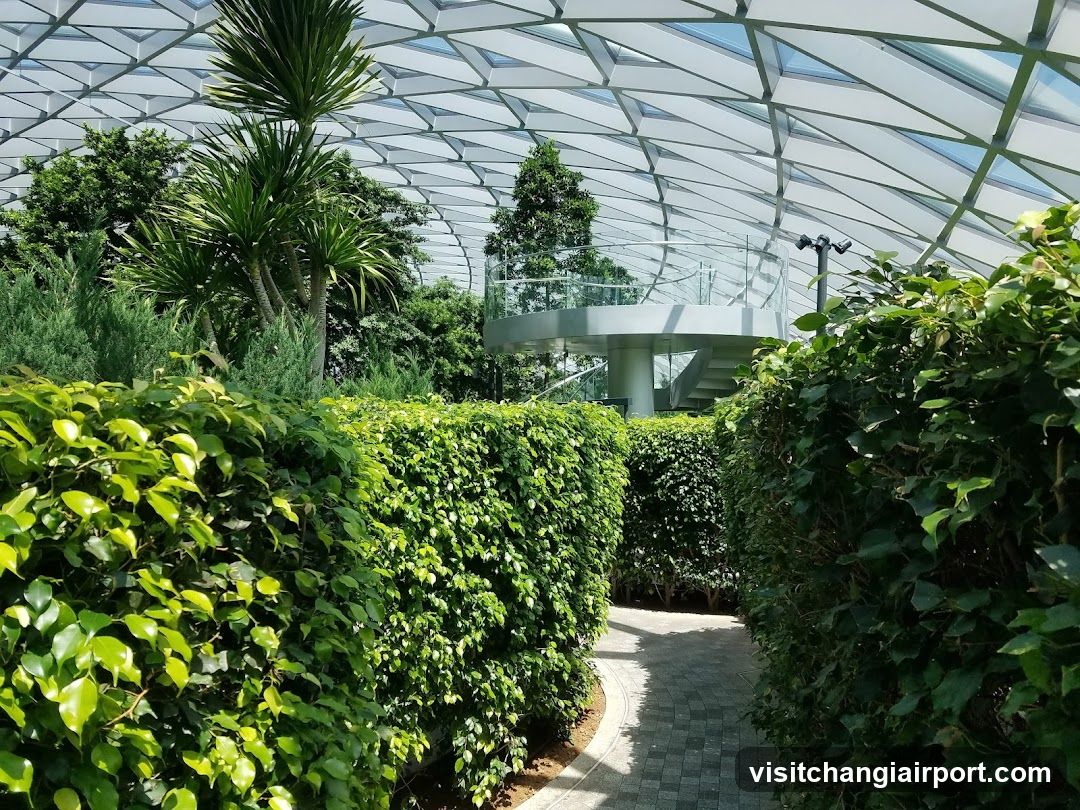 Greenhouse Garden Pathway