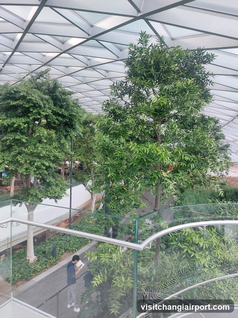 Indoor Garden View