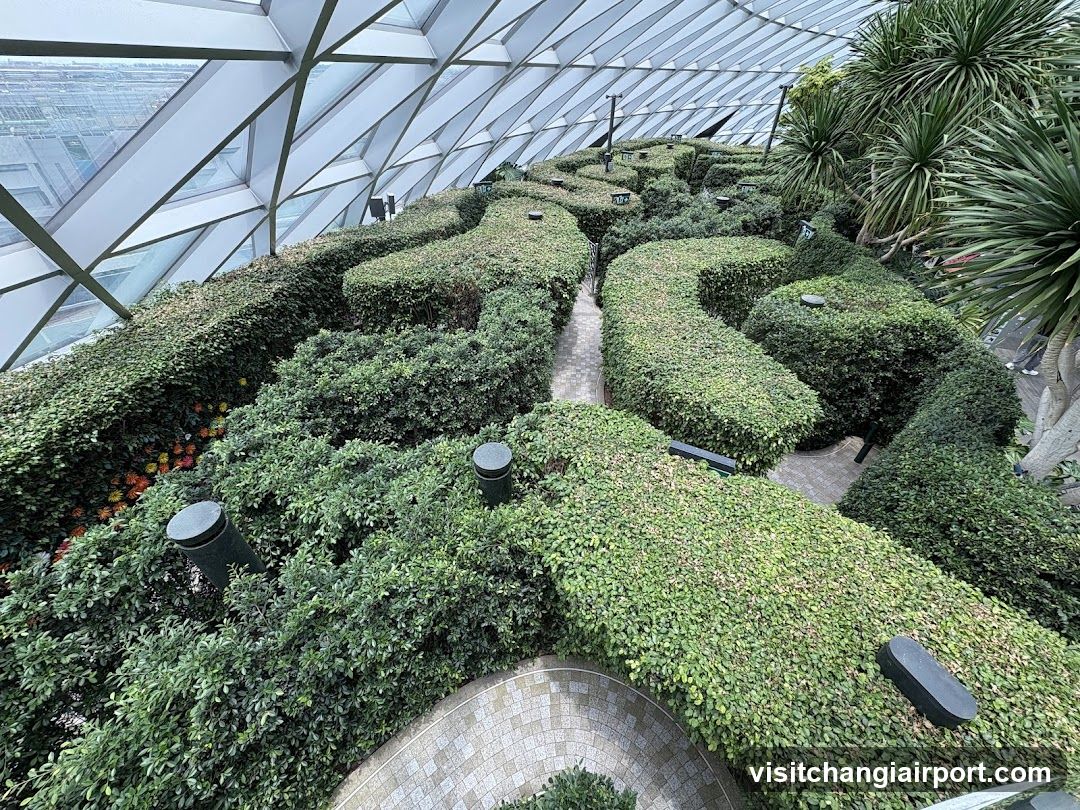Hedge Maze Garden