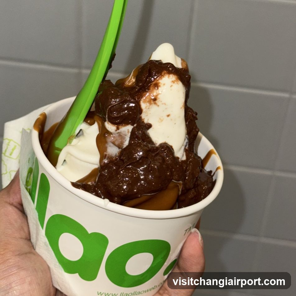 Ice cream cup with chocolate sauce