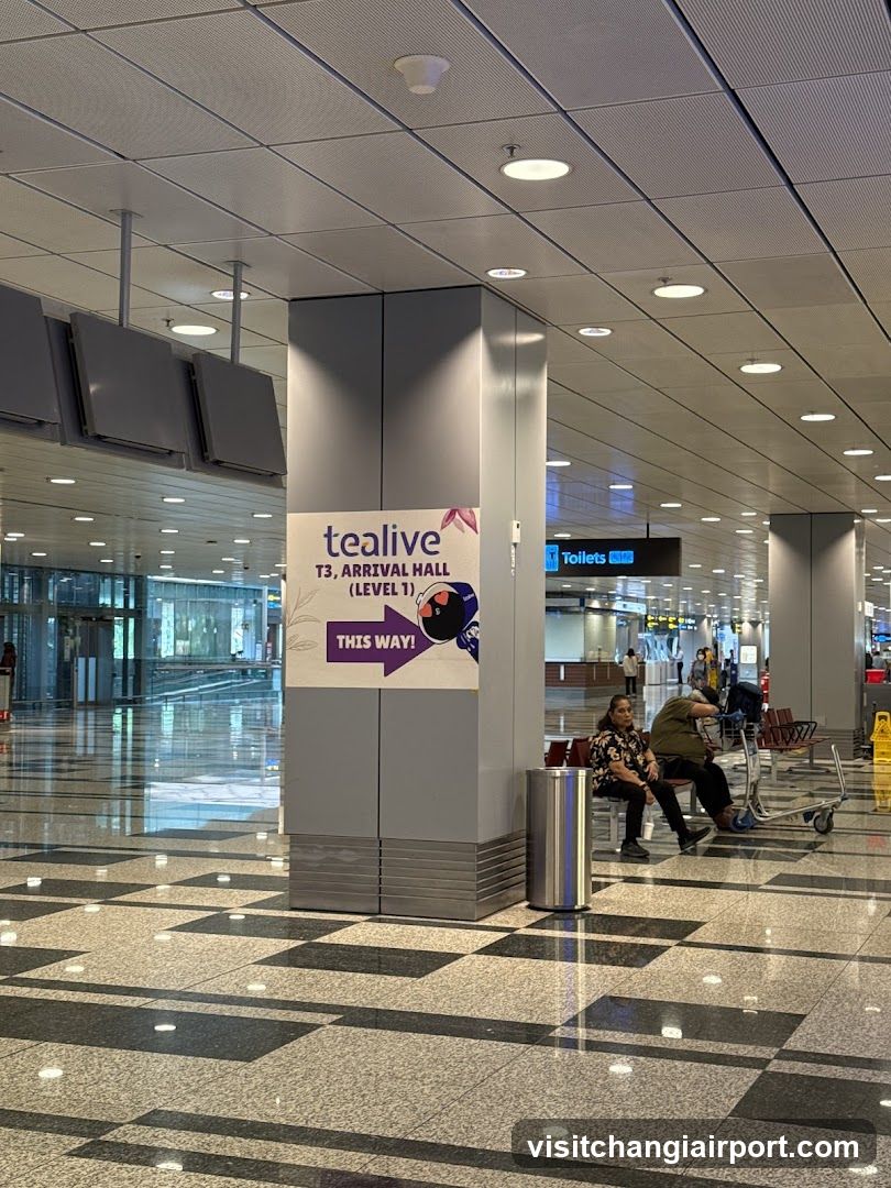 Airport Terminal Interior