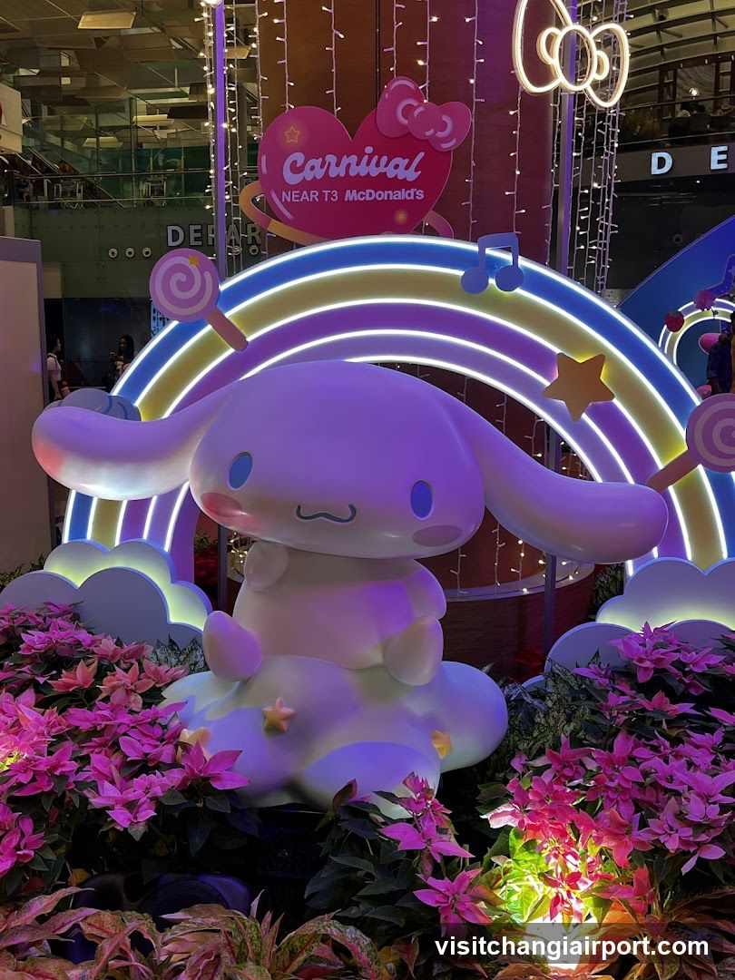 Cinnamoron Carnival Display