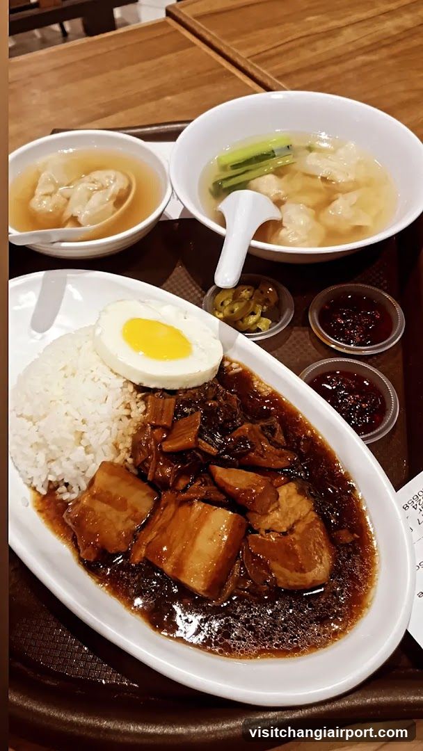 Food Tray with Braised Pork and Soup