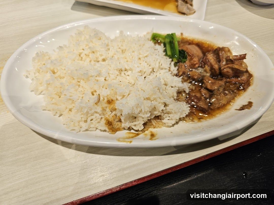 Plate of Rice with Braised Meat and Greens
