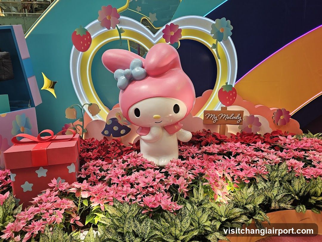 My Melody Display