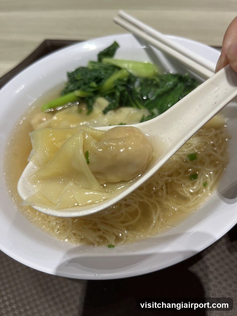 Wonton Noodle Soup