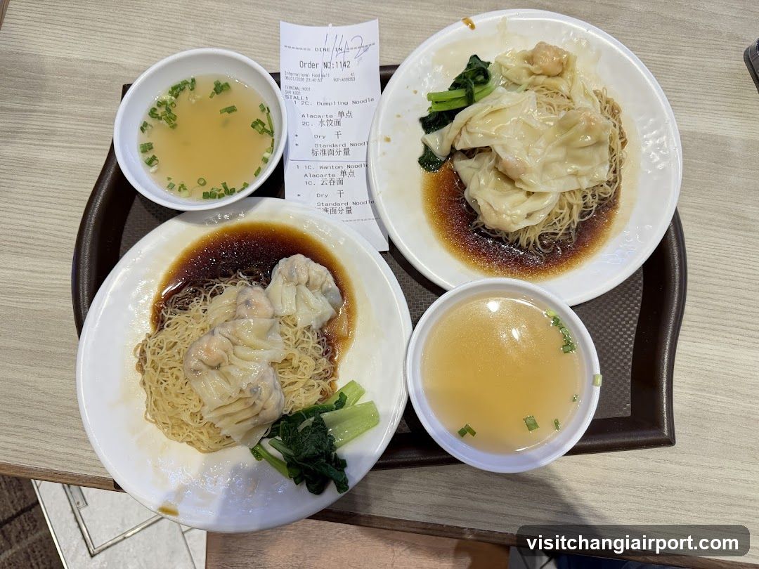 Dumpling Noodle Meal