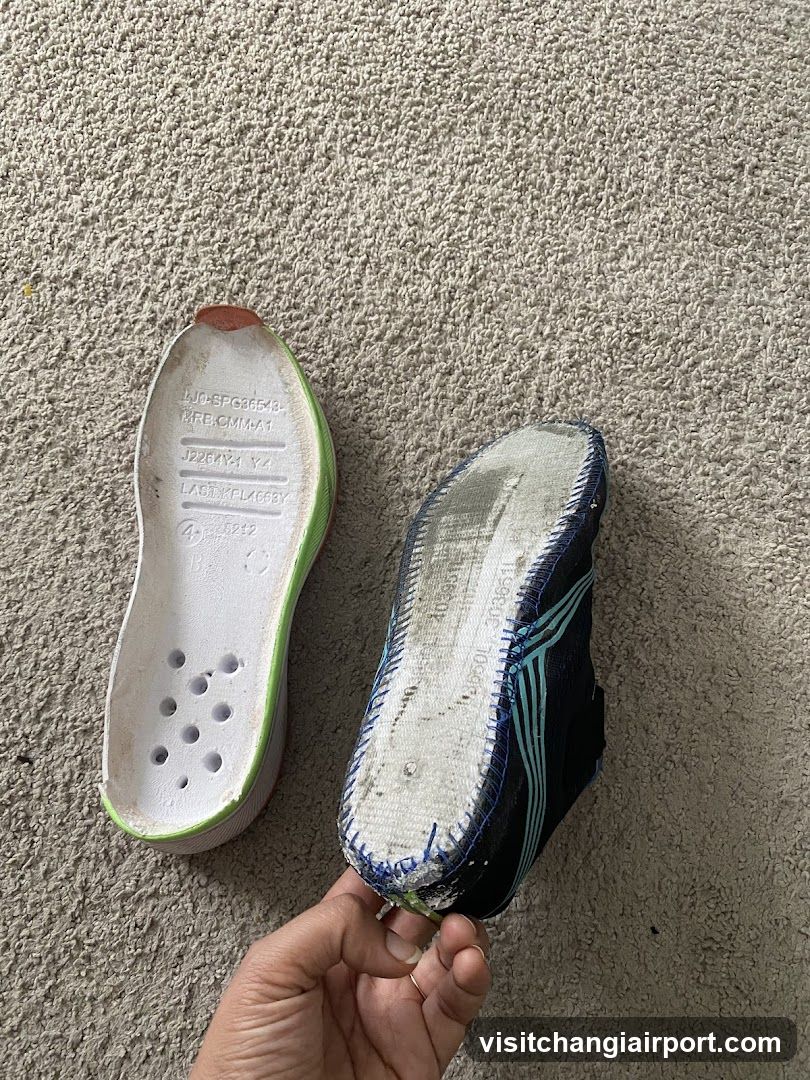 Shoe Insole and Sole